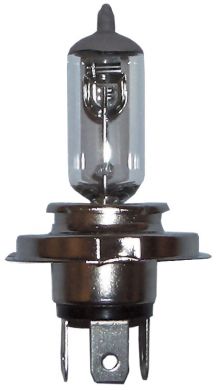 H4 Halogen Cap Bulb 24V 70/75W - 