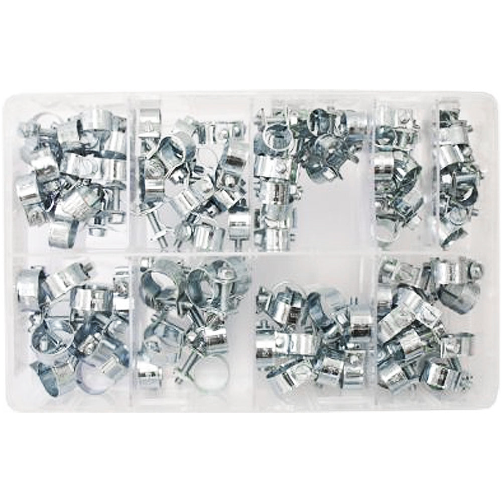 Assorted Stainless Mini Hose Clips (7-17mm) -