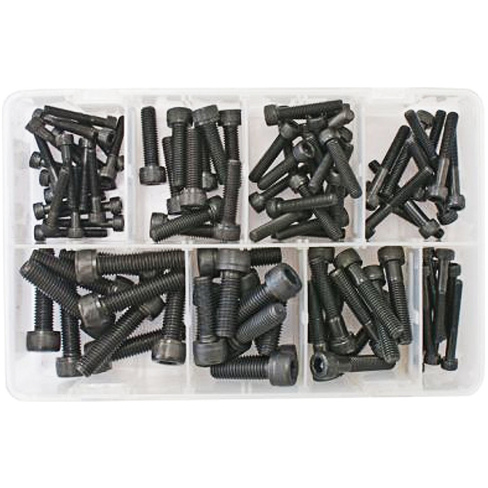 Assorted Socket Screws / Cap Screws | Metric | Qty: 100 -