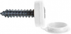 Number Plate Screws