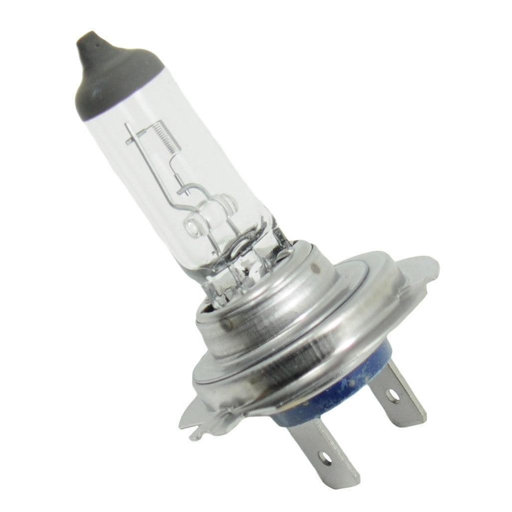 24 volt bulb