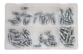 Assorted Box of Bleed Screws/ Nipples | Qty 60 - 