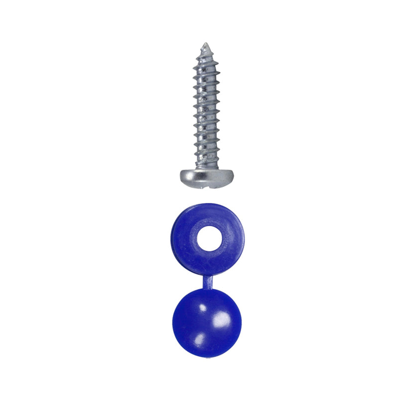 Buy Number Plate Screws & Blue Hinged Flip Top | Qty 100 -  for sale