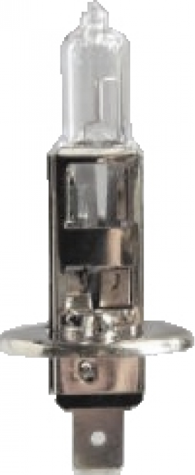 24v 70w H1 Cap Bulb - Halogen P14.5s - 