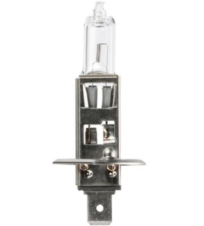 H1 Halogen Headlight Bulb - 12v 55w Cap | No. 448 - 