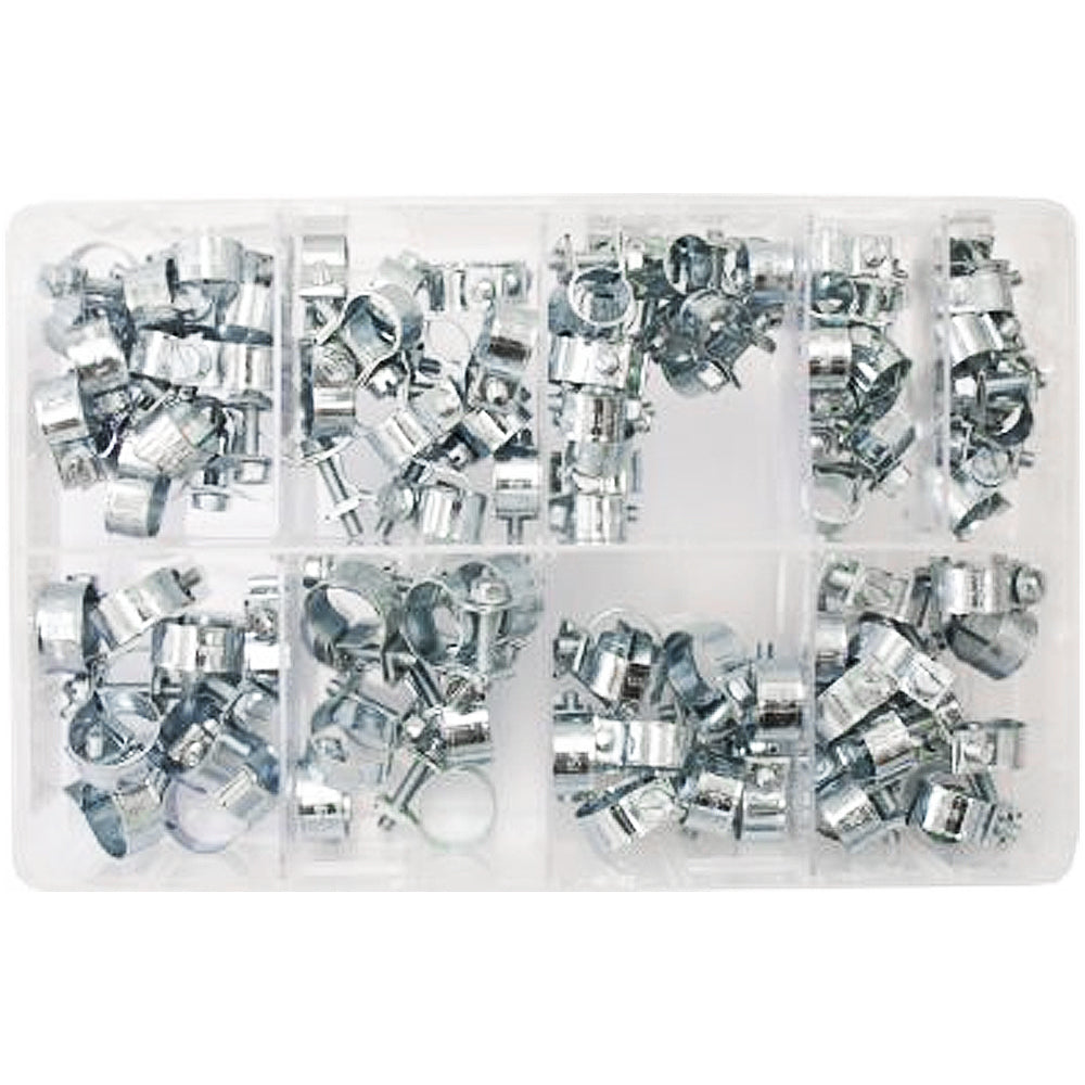 Assorted Stainless Mini Hose Clips (7-17mm) - 