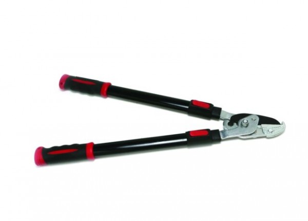 Buy Telescopic Anvil Loppers -  for sale