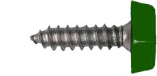 Number Plate Screws Moulded Head 3/4 (Qty 100) - 