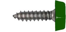 Buy Number Plate Screws Moulded Head 3/4 (Qty 10) -  for sale